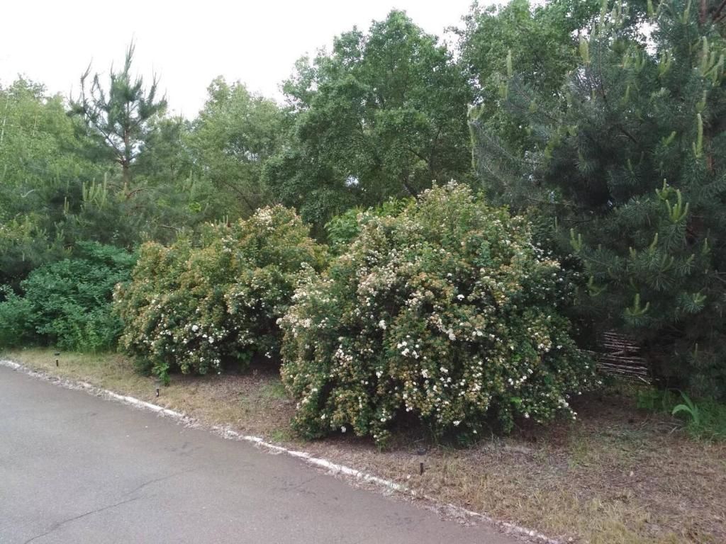 Гостевой дом Баня на Ватутина 5 Киев